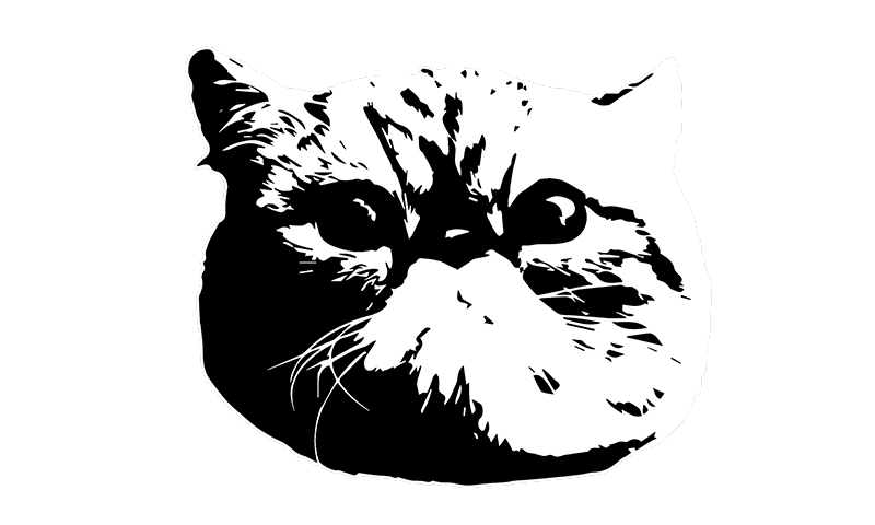 donh0n.com